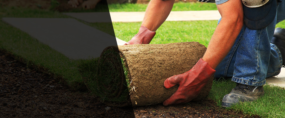 North Bergen Landscapers